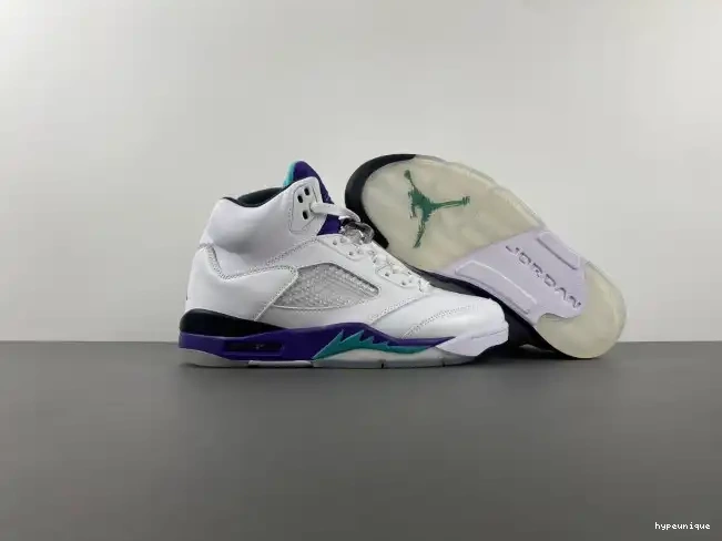 HYPE (2013) 136027-108 Grape 5 Air Jordan Retro 0421